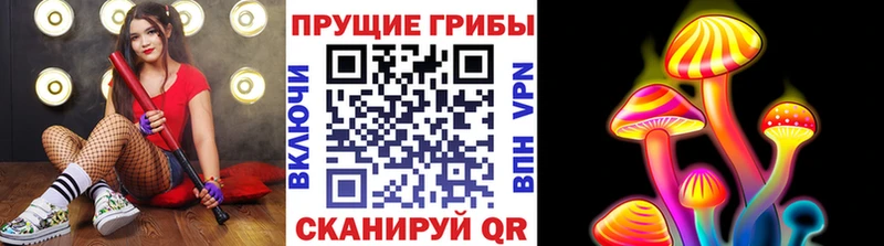 Псилоцибиновые грибы прущие грибы  цена наркотик  Чкаловск 